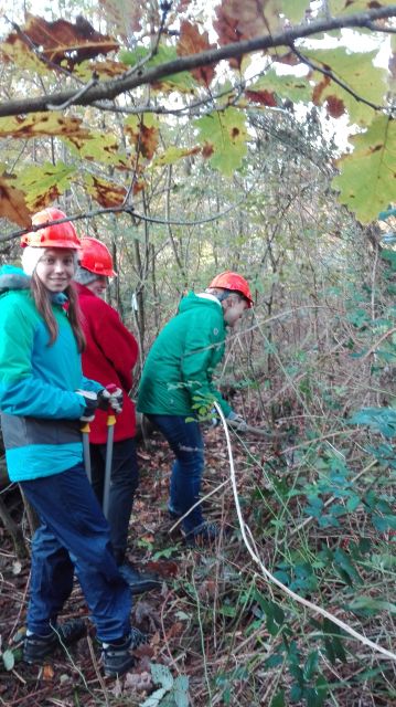 2. Waldbesuch