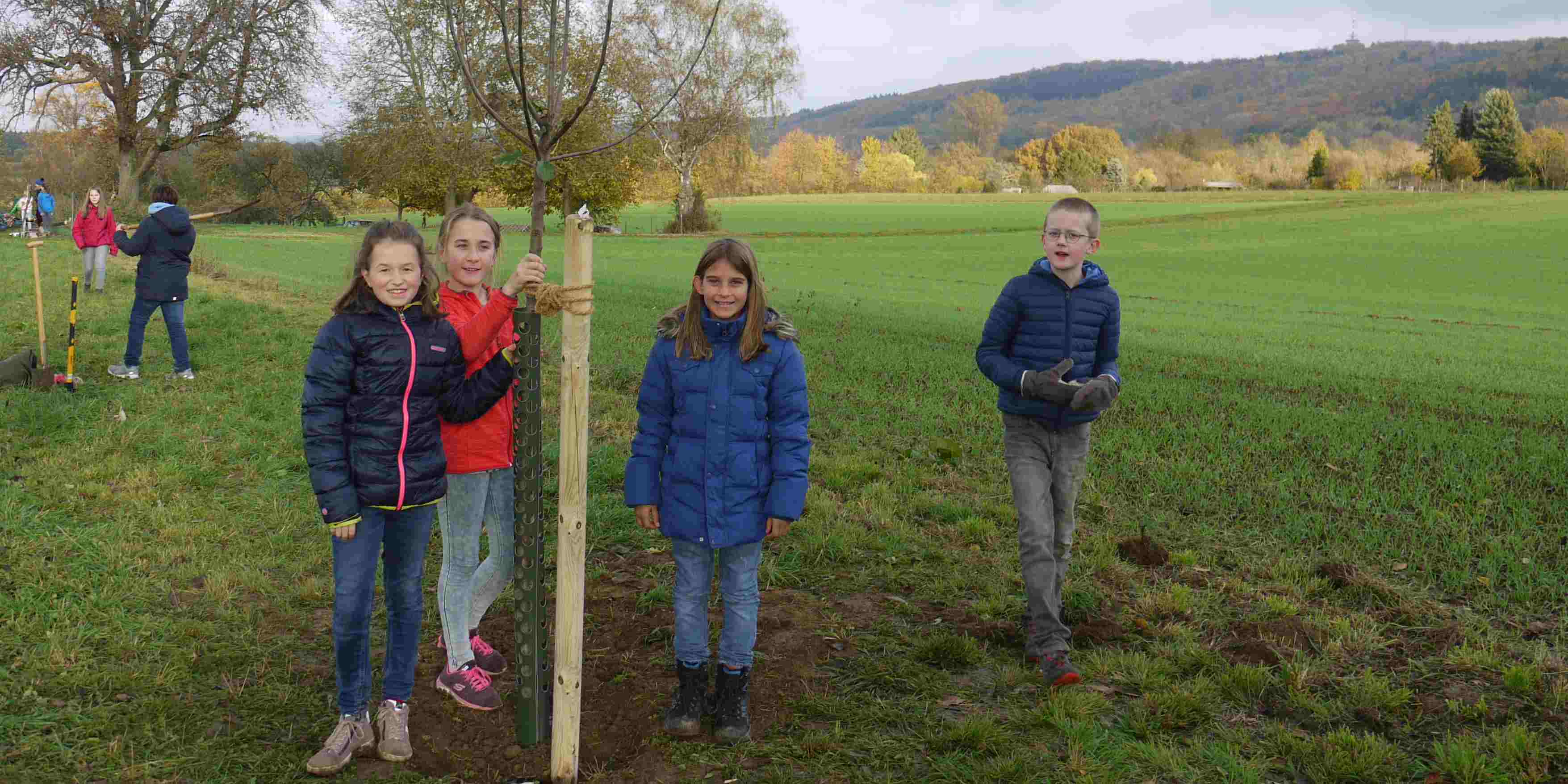 Obstbaum